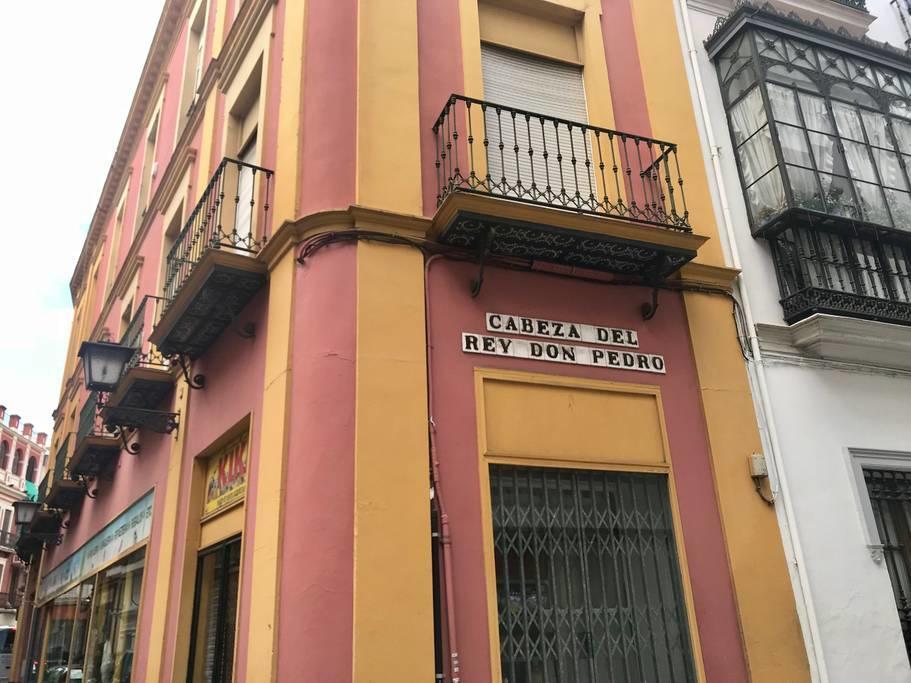 Salotur Don Pedro Apartment *